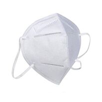 N95 Mask - Single Unit