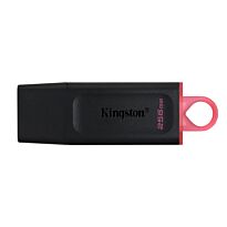 Kingston 256GB USB 3.2 Datatraveler Exodia Black and Pink