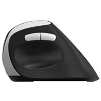 Rapoo EV250 Ergo Wireless Optical Mouse