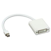 Mini Display Port Male to DVI Female