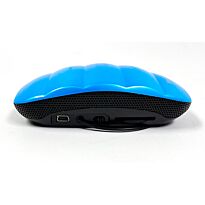 Mini Speaker Blue