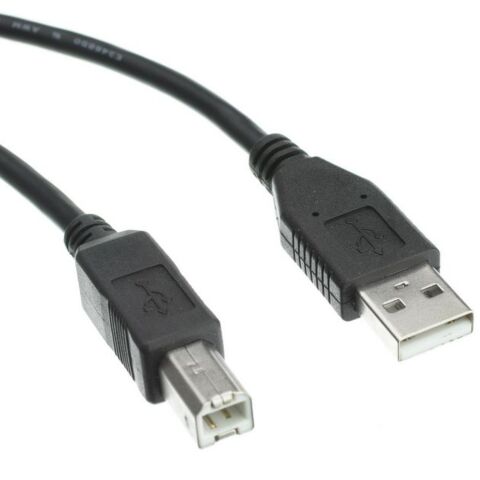 RCT Cables USB Printer Type A Male to Type B Male