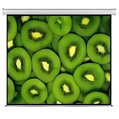 Electric Projector Screen 300 X 169