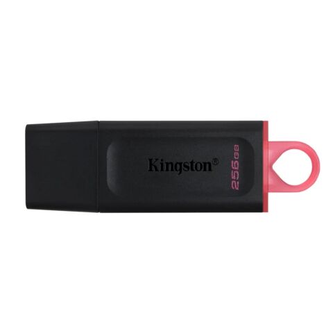 Kingston 256GB USB 3.2 Datatraveler Exodia Black and Pink