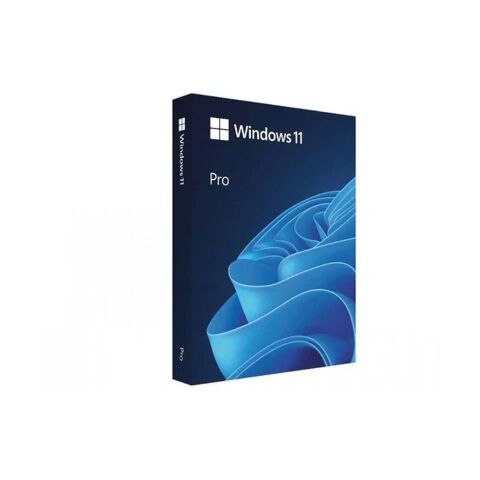 Microsoft Windows 11 Pro