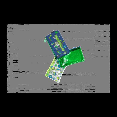 Quest 3 piece Pencil Case Set Astrosaurus Green