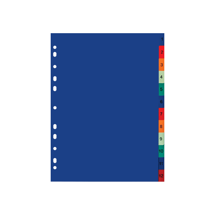 Treeline A4 PVC Index 1 to 12 Divider Rainbow Pkt-10