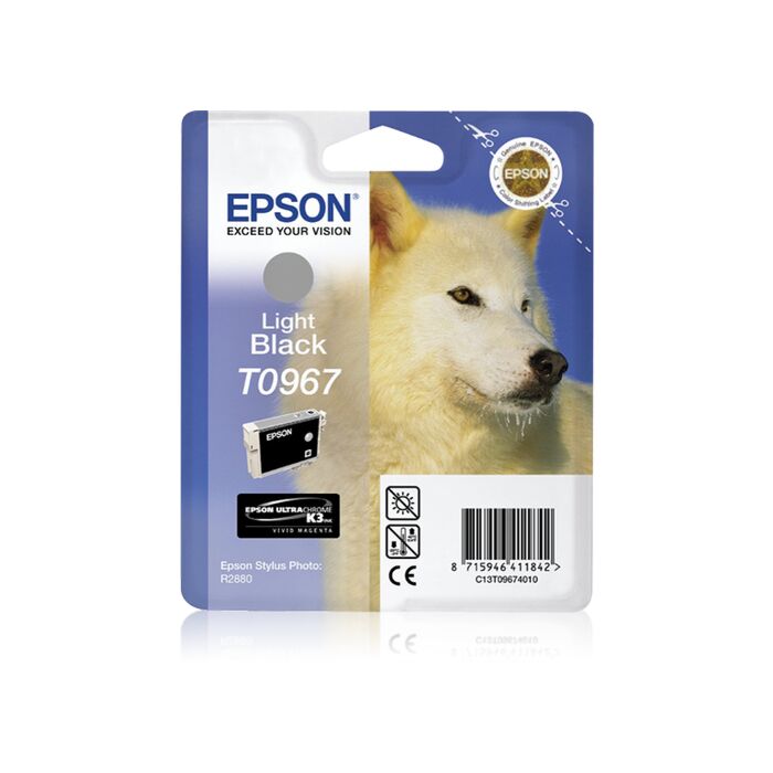 Epson - Ink - T0967 - Black - Retail Pack - Stylus R2880