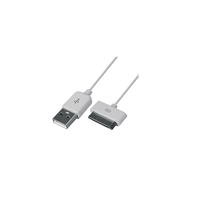 Male USB to 30 Pin Ipad Cable
