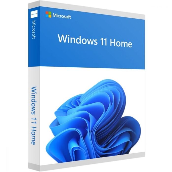 Microsoft Windows 11 Home 64-bit - DVD - DSP