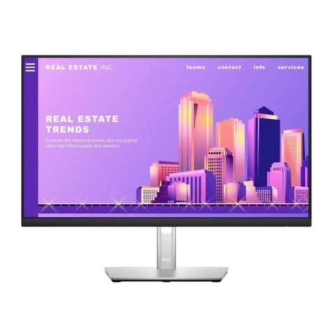 Dell P2422H 23.8-Inch 1920 X 1080px FHD 16:9 60Hz 5ms LCD Monitor 210-AZYX