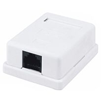 RCT- CAT6 WALLBOX SINGLE PORT