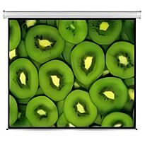 Electric Projector Screen 300 X 169