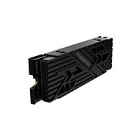Predator 1TB GEN4 Heatsink SSD
