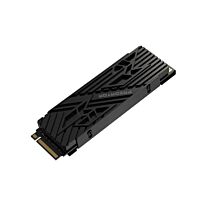 Predator 1TB GEN4 Heatsink SSD