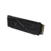 Predator 2TB GEN 4.0 Heatsink SSD