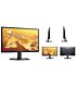 DELL 22 inch SE2225H FHD Monitor