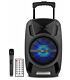 Astrum TM081 Trolley Multimedia Speaker with 8.0 inch sub + tweeter Black