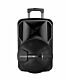 Astrum TM121 Trolley Speaker 12 Inches