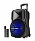 Astrum TM121 Trolley Speaker 12 Inches