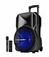 Astrum TM121 Trolley Speaker 12 Inches