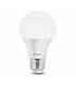 Astrum A090 LED Bulb 09W 810Lumens E27 Cool White