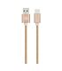 Amplify Linked Series USB Type-C Braided Cable - Champagne Gold - 2m