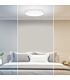 Xiaomi Smart LED Ceiling Light - 450mm