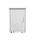 18U 600mm Deep Outdoor Cabinet with 2 fans