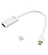 Gizzu 4K Mini DP to HDMI Adapter Poly