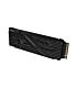 Predator 2TB GEN 4.0 Heatsink SSD