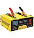 Solarix Full Automatic Intelligent Battery Charger