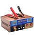Solarix Smart Fast Intelligent Battery Charger