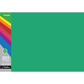 Treeline Premium Deep Tint Folders 192gsm Green Pkt-100