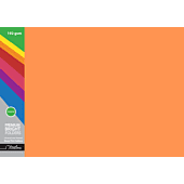 Treeline Premium Deep Tint Folders 192gsm Orange Pkt-100