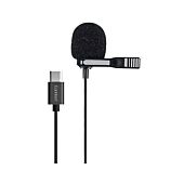 EARLDOM Type C Mini Microphone ET-E35