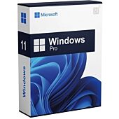 Microsoft Windows 11 Professional 64-bit - DVD - DSP