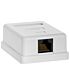 Netix Cat 6 Surface Mount Box Single