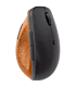 Lenovo Go RF Wireless Vertical Mouse