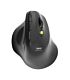 Port Connect 2.4GHz Wireless ERGO SOFT Bluetooth Rechargeable Mouse