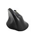 Port Connect 2.4GHz Wireless ERGO SOFT Bluetooth Rechargeable Mouse