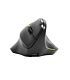 Port Connect 2.4GHz Wireless ERGO SOFT Bluetooth Rechargeable Mouse