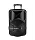 Astrum TM121 Trolley Speaker 12 Inches