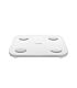 Xiaomi Body Composition Scale S400