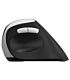 Rapoo EV250 Ergo Wireless Optical Mouse