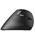 Rapoo EV250 Ergo Wireless Optical Mouse