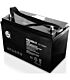 RCT Senry 6FM100A-X Fully-Seal Lead Acid