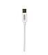 Gizzu USB Type-C to 3.5mm AUX Audio Adapter - White