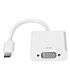 Gizzu 1080P Type-C to VGA Adapter Poly