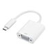 Gizzu 1080P Type-C to VGA Adapter Poly
